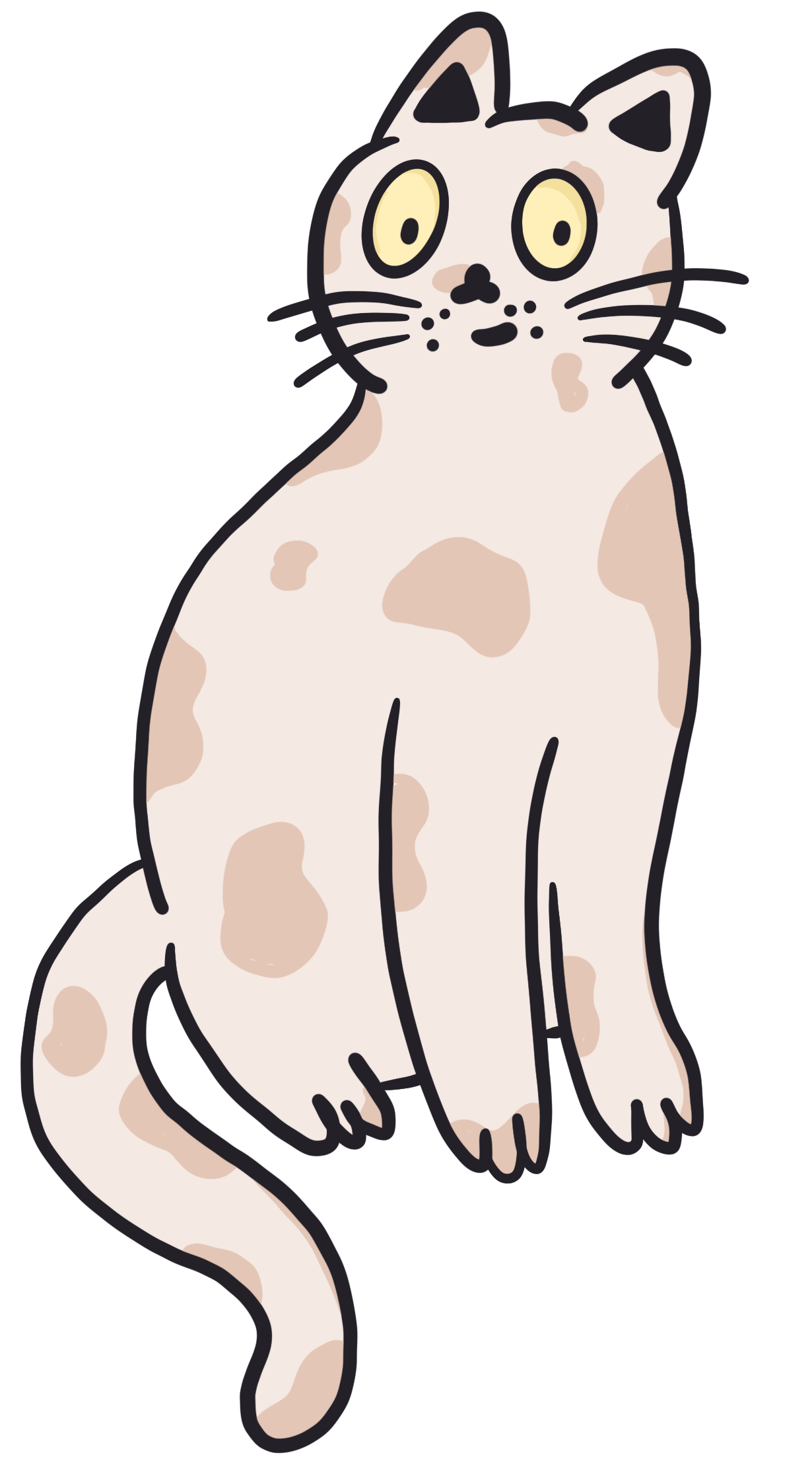 ADHD Accountability Cat